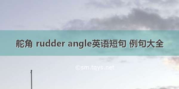 舵角 rudder angle英语短句 例句大全