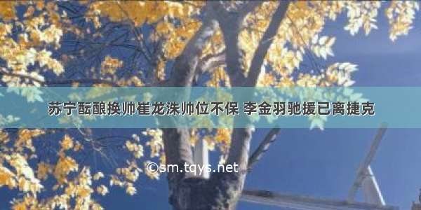 苏宁酝酿换帅崔龙洙帅位不保 李金羽驰援已离捷克