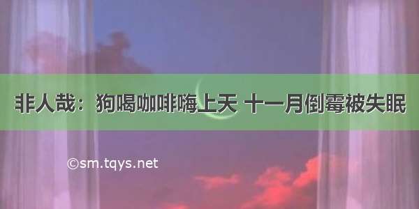 非人哉：狗喝咖啡嗨上天 十一月倒霉被失眠