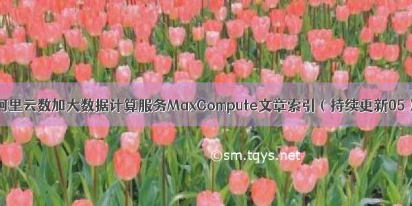 阿里云数加大数据计算服务MaxCompute文章索引（持续更新05）