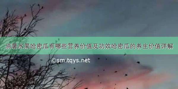 消暑水果哈密瓜有哪些营养价值及功效哈密瓜的养生价值详解