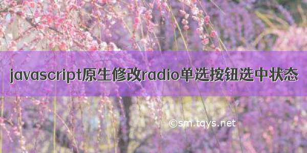 javascript原生修改radio单选按钮选中状态