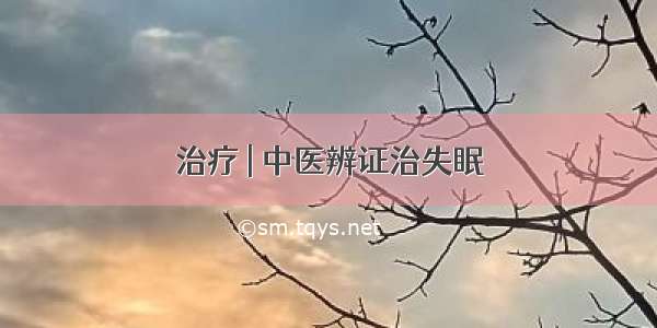 治疗 | 中医辨证治失眠