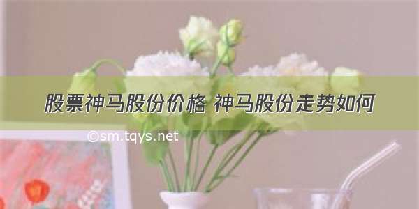 股票神马股份价格 神马股份走势如何