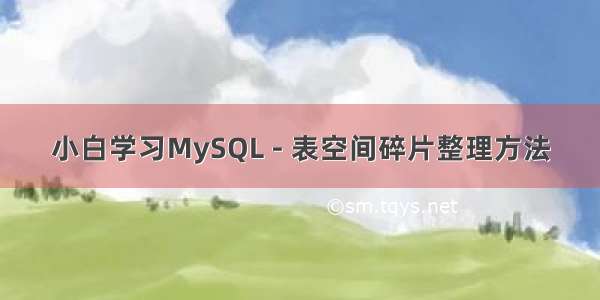 小白学习MySQL - 表空间碎片整理方法