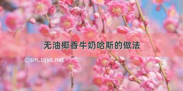 无油椰香牛奶哈斯的做法