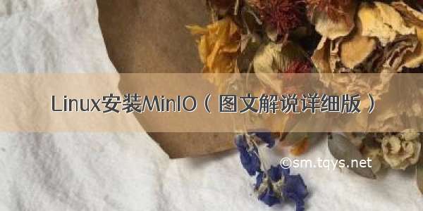 Linux安装MinIO（图文解说详细版）