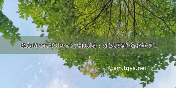 华为Mate 40 Pro+真机现身：外观实锤 价格近万！