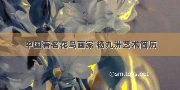 中国著名花鸟画家 杨九洲艺术简历