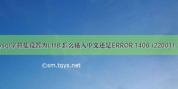 Mysql字符集设置为utf8 怎么插入中文还是ERROR 1406 (22001): D