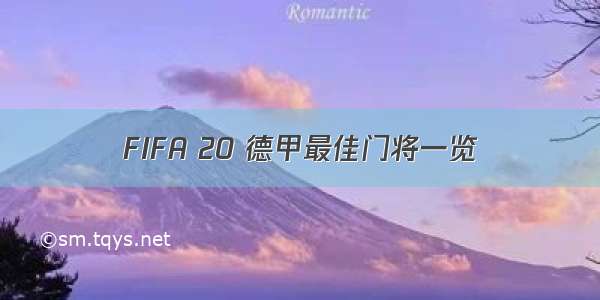 FIFA 20 德甲最佳门将一览