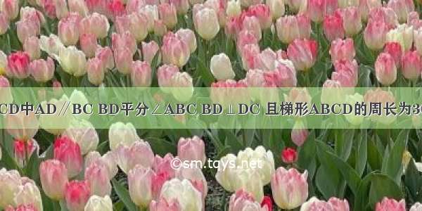 已知等腰梯形ABCD中AD∥BC BD平分∠ABC BD⊥DC 且梯形ABCD的周长为30cm 则求AD的长．