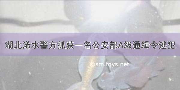 湖北浠水警方抓获一名公安部A级通缉令逃犯