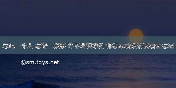 忘记一个人 忘记一段事 并不是很难的 你根本就没有试着去忘记