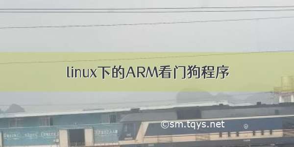 linux下的ARM看门狗程序