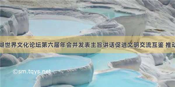 王晨出席太湖世界文化论坛第六届年会并发表主旨讲话促进文明交流互鉴 推动构建人类命