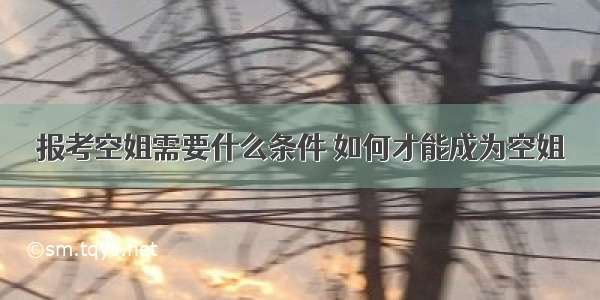 报考空姐需要什么条件 如何才能成为空姐