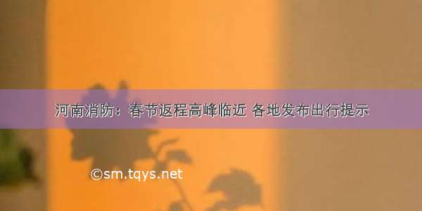 河南消防：春节返程高峰临近 各地发布出行提示