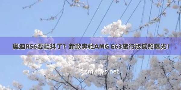 奥迪RS6要颤抖了？新款奔驰AMG E63旅行版谍照曝光！