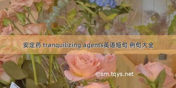 安定药 tranquilizing agents英语短句 例句大全