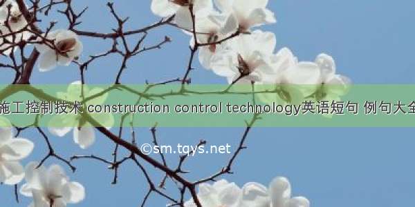 施工控制技术 construction control technology英语短句 例句大全