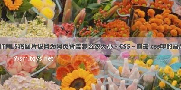 HTML5将图片设置为网页背景怎么改大小 – CSS – 前端 css中的高度
