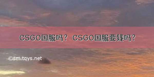 CSGO国服吗？ CSGO国服要钱吗？