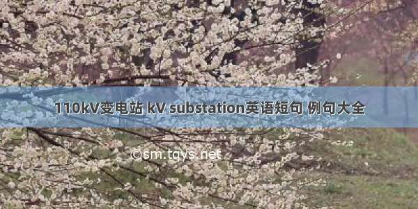 110kV变电站 kV substation英语短句 例句大全