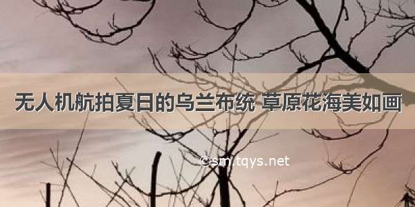 无人机航拍夏日的乌兰布统 草原花海美如画