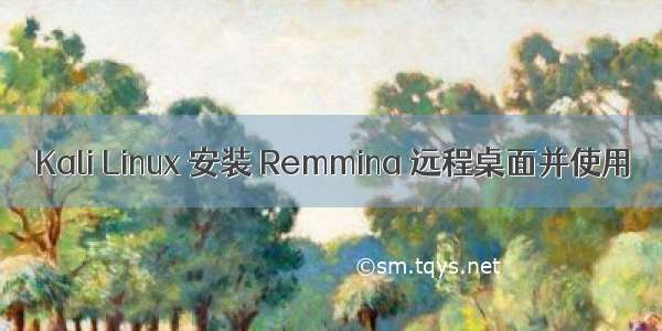 Kali Linux 安装 Remmina 远程桌面并使用