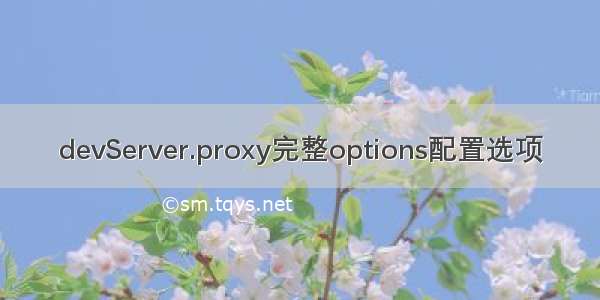 devServer.proxy完整options配置选项