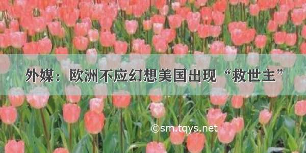 外媒：欧洲不应幻想美国出现“救世主”