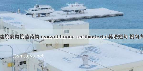 噁唑烷酮类抗菌药物 oxazolidinone antibacterial英语短句 例句大全