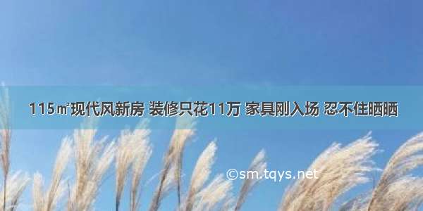 115㎡现代风新房 装修只花11万 家具刚入场 忍不住晒晒