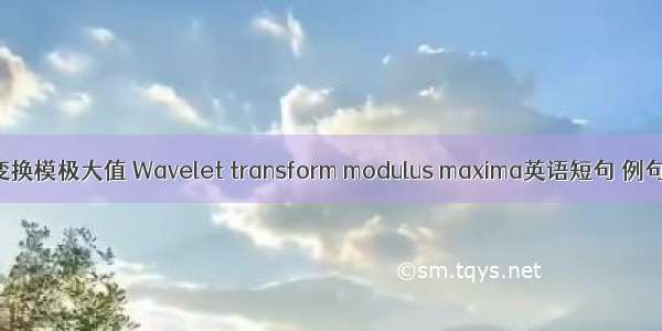 小波变换模极大值 Wavelet transform modulus maxima英语短句 例句大全