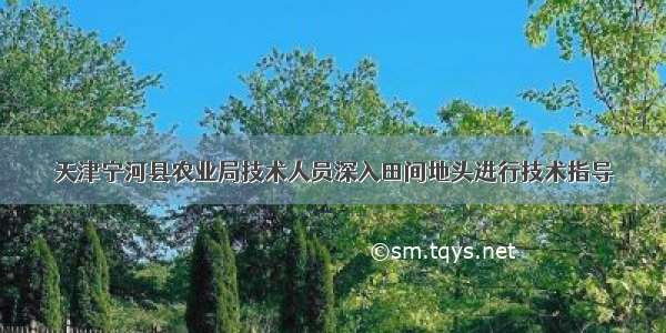 天津宁河县农业局技术人员深入田间地头进行技术指导