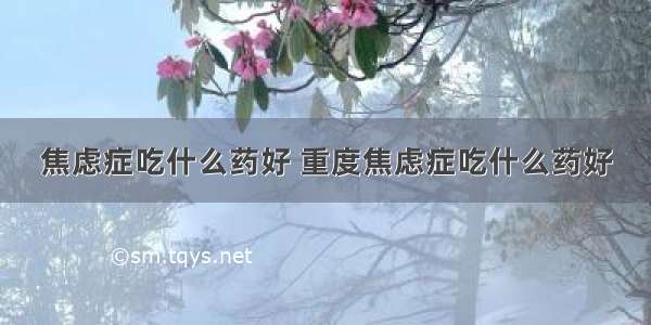 焦虑症吃什么药好 重度焦虑症吃什么药好