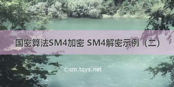 国密算法SM4加密 SM4解密示例（二）