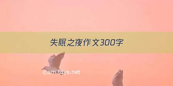 失眠之夜作文300字