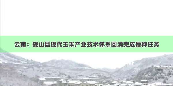 云南：砚山县现代玉米产业技术体系圆满完成播种任务