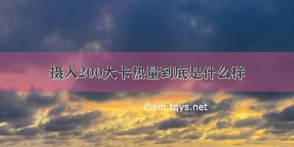 摄入200大卡热量到底是什么样