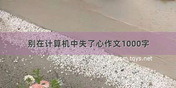 别在计算机中失了心作文1000字