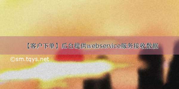 【客户下单】后台提供webservice服务接收数据