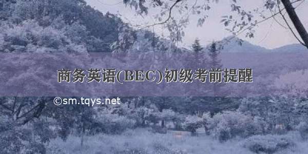 商务英语(BEC)初级考前提醒