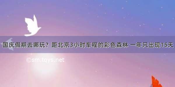 国庆假期去哪玩？距北京3小时车程的彩色森林 一年只出现15天