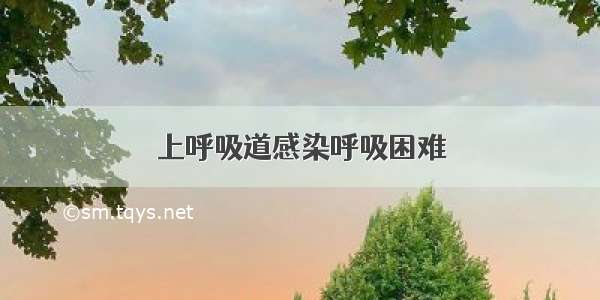 上呼吸道感染呼吸困难