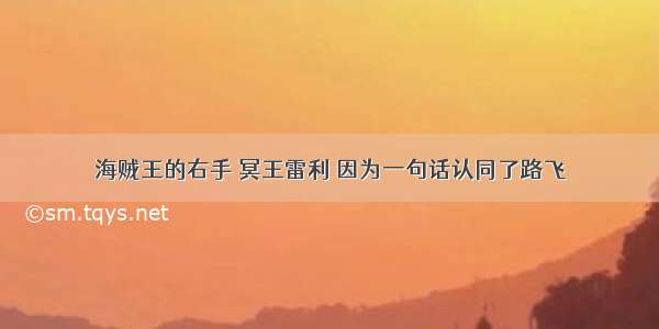 海贼王的右手 冥王雷利 因为一句话认同了路飞