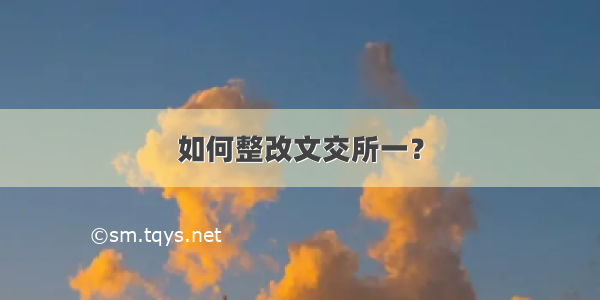 如何整改文交所一？