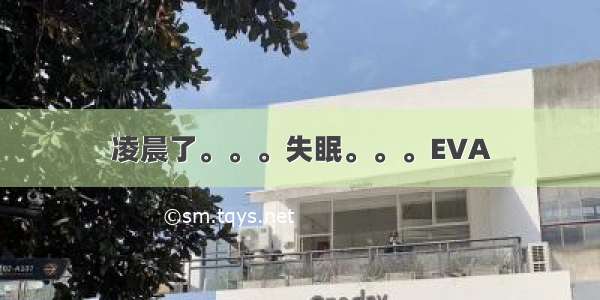 凌晨了。。。失眠。。。EVA