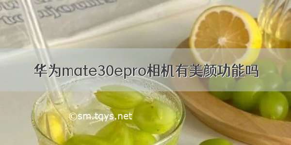 华为mate30epro相机有美颜功能吗